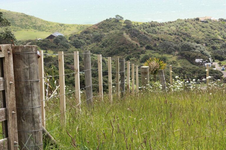 Week 9 distance walk 6.5 hours – 19 miles